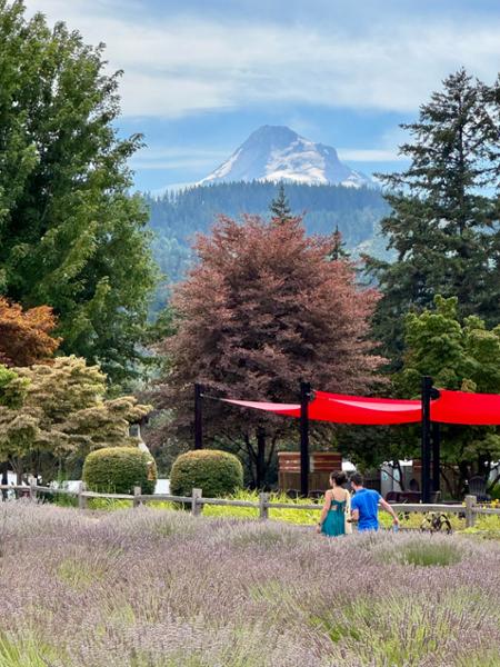 Discover Pacific Northwest & California  on 08/03/2025