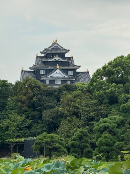 5546-Grand Japan
