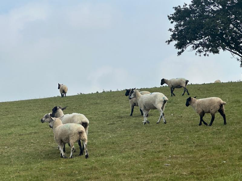 Exmoor Training Weekend 22/08/2025