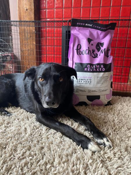 Calming Dry Dog Food for Anxious or Excitable Dogs | 2kg | Grain Free & Natural Ingredients | Pooch & Mutt | Vet Recommended