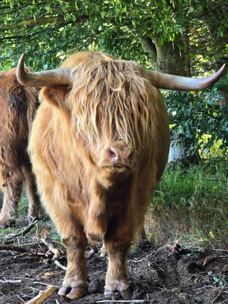 Recommend Best of Scotland Tour
