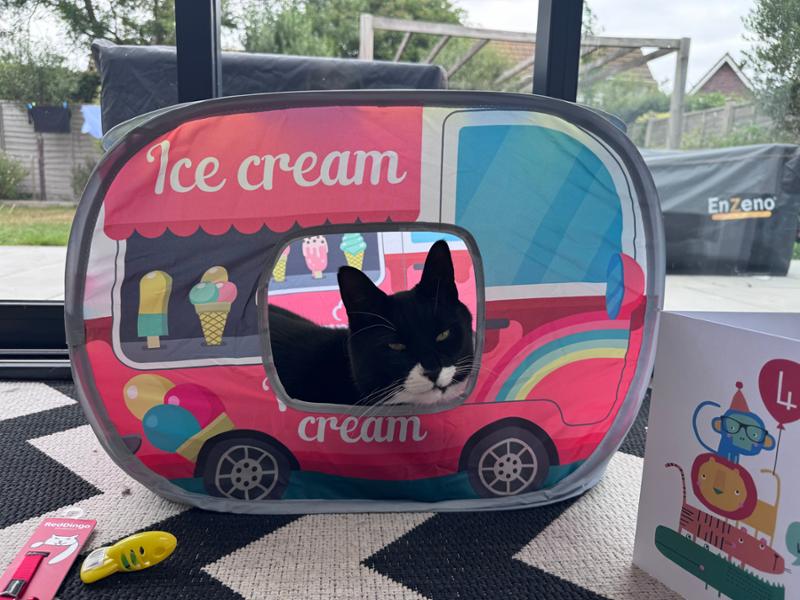 Great & Small Summer Sizzlers Ice Cream Van Tent Cat Toy