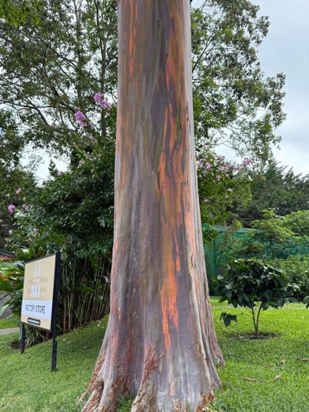 Costa Rica Wildlife Tour