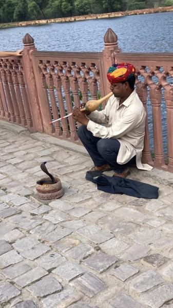 5080-Opulent India