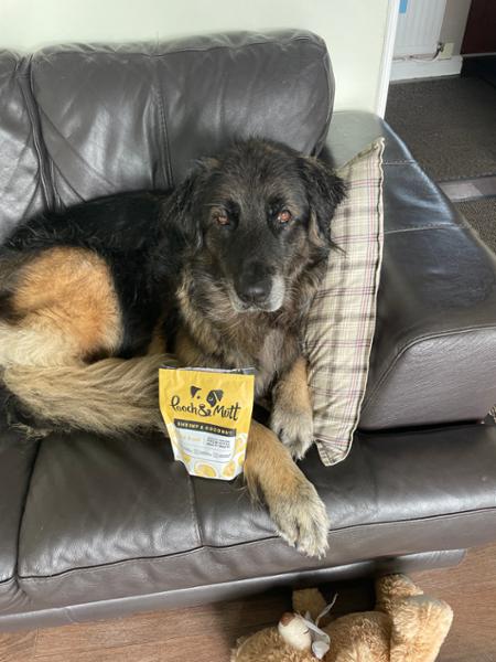 Sensitive and Itchy Skin Dog Treats | 120g | Hypoallergenic | Grain Free & Natural Ingredients | Vet Recommended | Pooch & Mutt