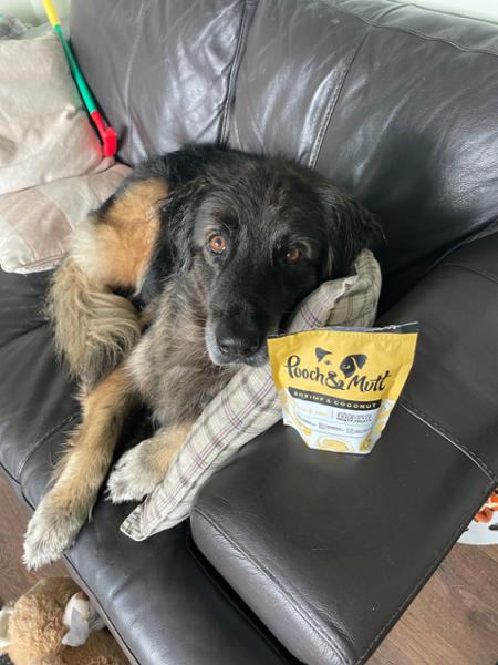 Sensitive and Itchy Skin Dog Treats | 120g | Hypoallergenic | Grain Free & Natural Ingredients | Vet Recommended | Pooch & Mutt