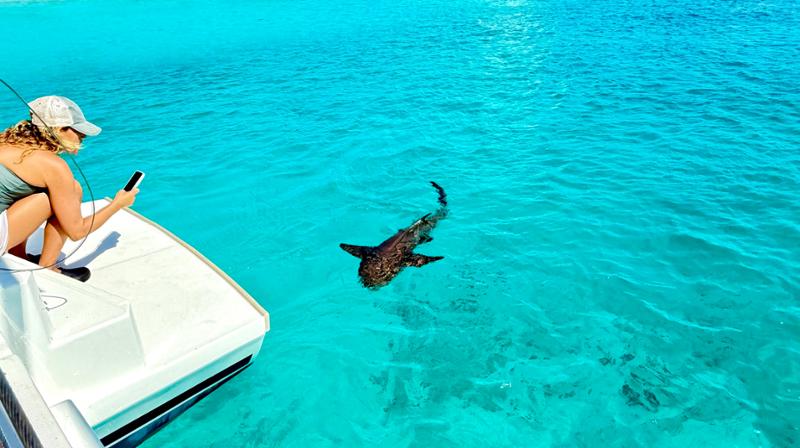 Wonderful Exumas Tour!