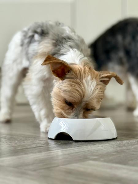 Small Dog Dry Food | 7.5kg | Chicken & Superfoods | Grain Free & Natural Ingredients | Pooch & Mutt | Vet Recommended