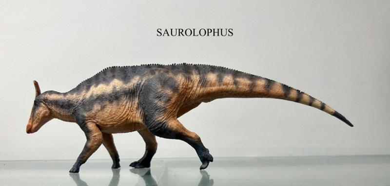 Another Everthing Dinosaur masterclass.
