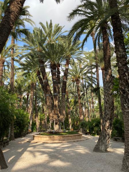 Your tour in Alicante - Transfer To Benidorm