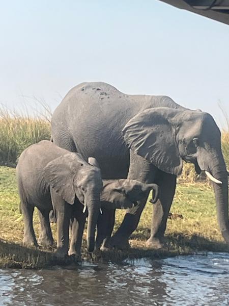 5589-2 for 1 South Africa & Victoria Falls