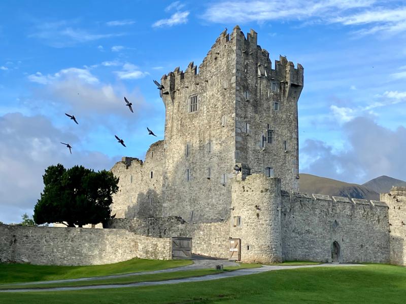 Focus on Ireland