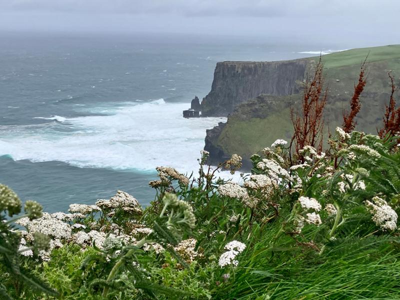 Focus on Ireland