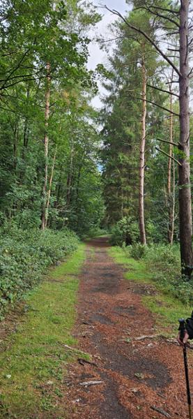 Wolds Way Adventure