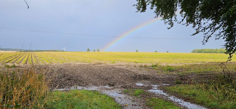 Wolds Way Adventure