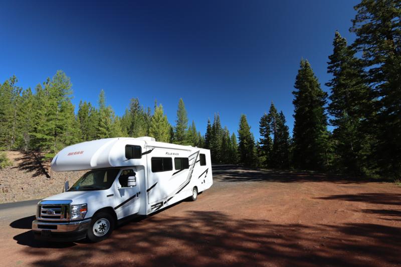 Road Bear C 26-28