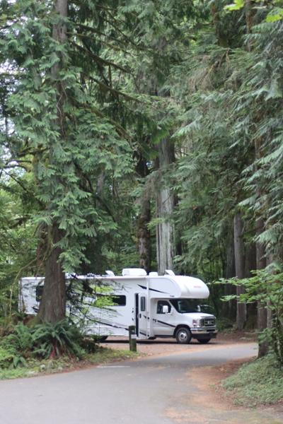 Road Bear C 26-28