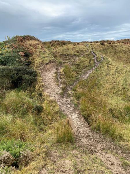 Llyn Coastal Path - North Section
