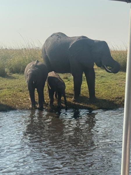 5589-2 for 1 South Africa & Victoria Falls