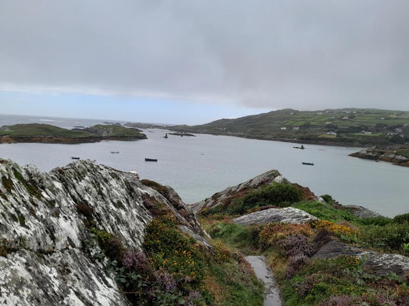Your holiday: Wild and Wonderful Western Ireland Guided Walking