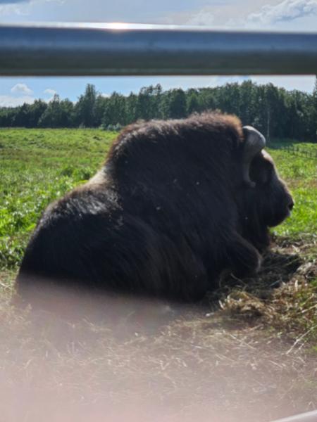 I had an amazing trip to Alaska.  Everyone in the world should enjoy this!