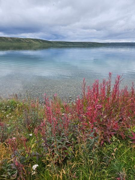 I had an amazing trip to Alaska.  Everyone in the world should enjoy this!