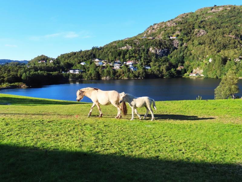 Best of Norway