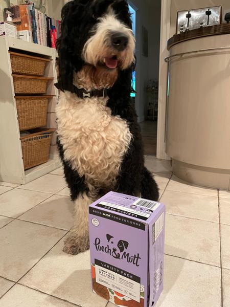 Fish Chews Bundle