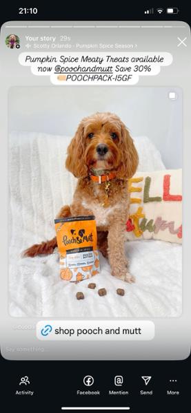 Probiotic Pumpkin Treats For Dogs | Limited Edition | Pumkin Spice Dog Treats | 120g | Pooch & Mutt | Grain-Free & Natural Ingredients