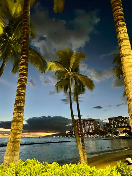 5218-All Inclusive Hawaii Cruise 2025