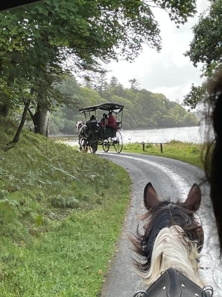 A great tour to see and understand Ireland!
