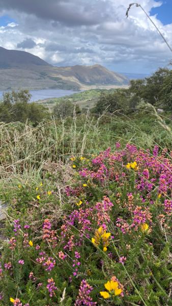 A great tour to see and understand Ireland!