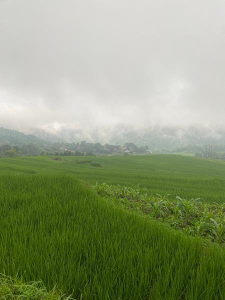 5670-2 for 1 Vietnam