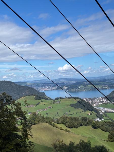 Rhine Cruise to Switzerland