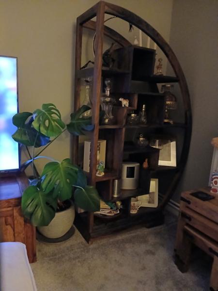 Agra Half Round Display Unit in Rosewood