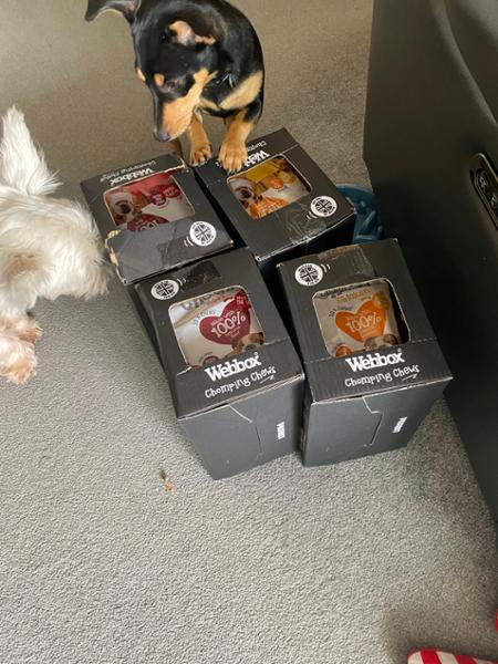 Dogs love these above all others