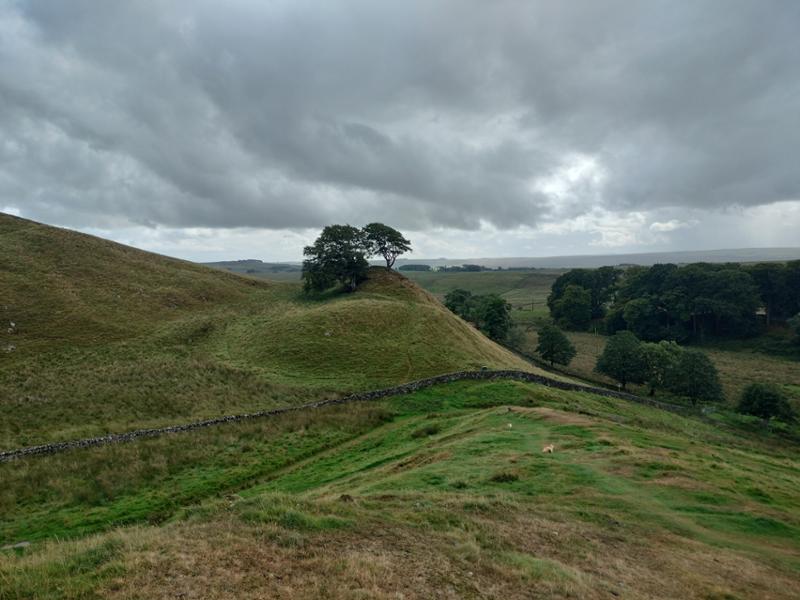 Hadrian's Wall West to East - great experience and well organised
