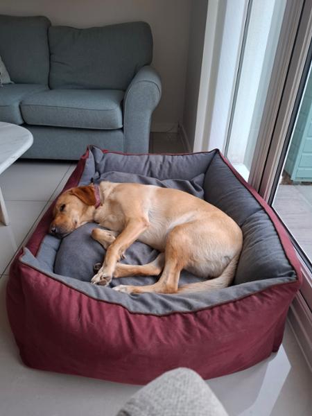 Best bed ever