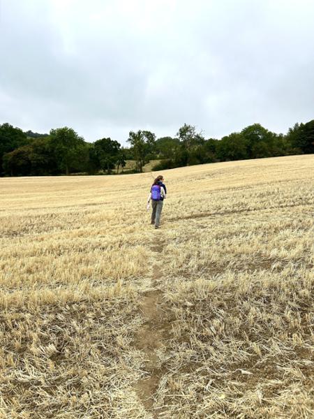 Great Cotswolds Hike