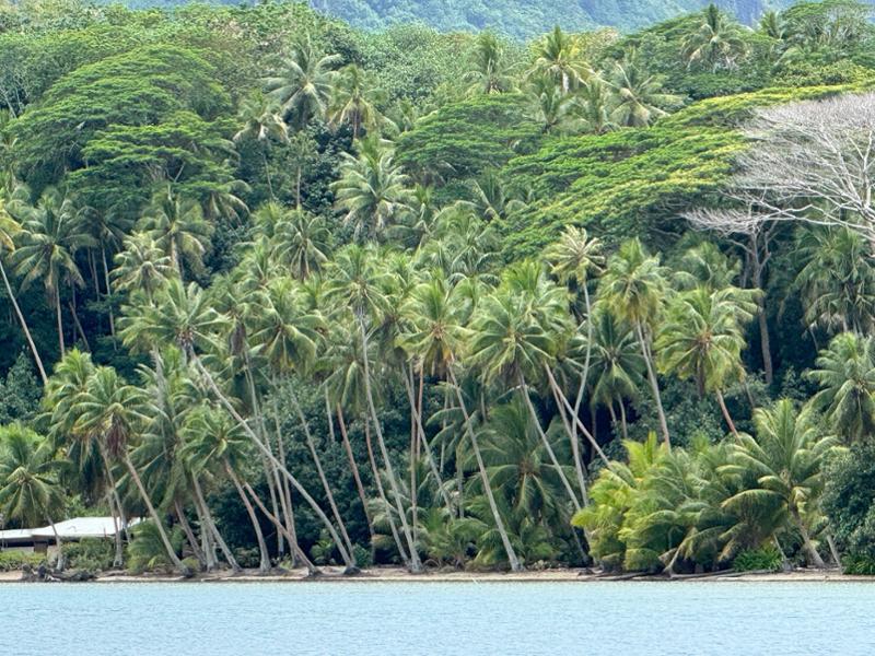 Paradise remembered!
