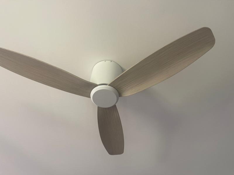 Nice character fans with 5 speed remotes , stylish and quiet