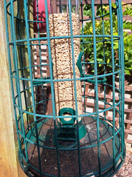 4 port seed feeder