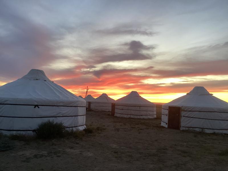 4364-Mongolian Adventure