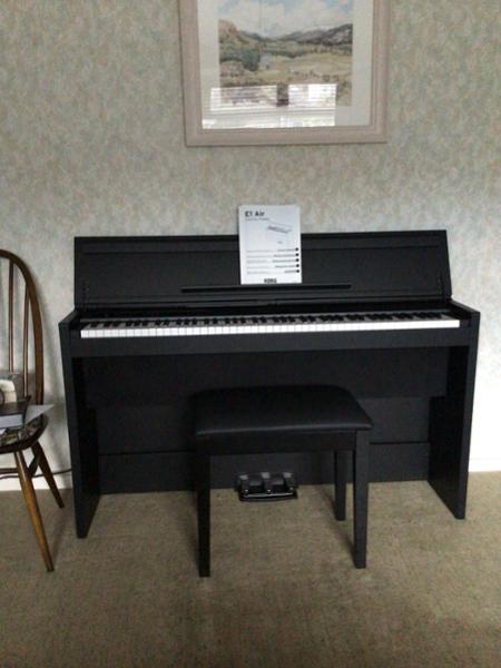 Korg ES 1Air - great value for money.