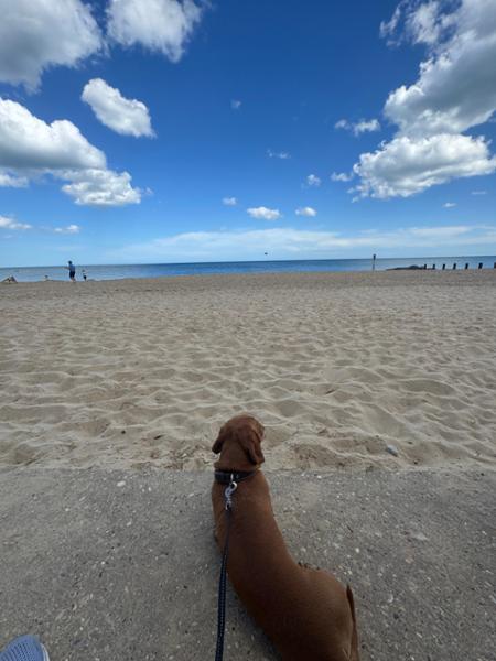 Perfect pitch by the sea
