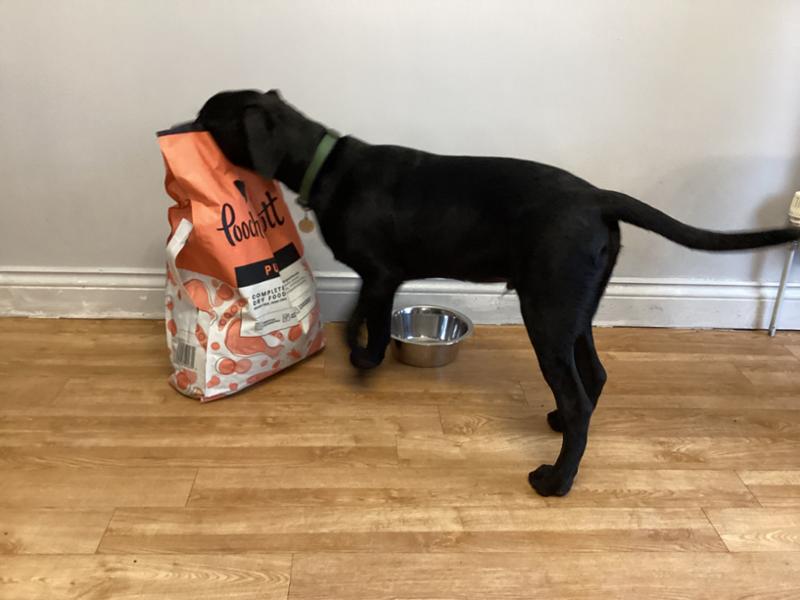 Puppy Complete Dry Superfood Clearance