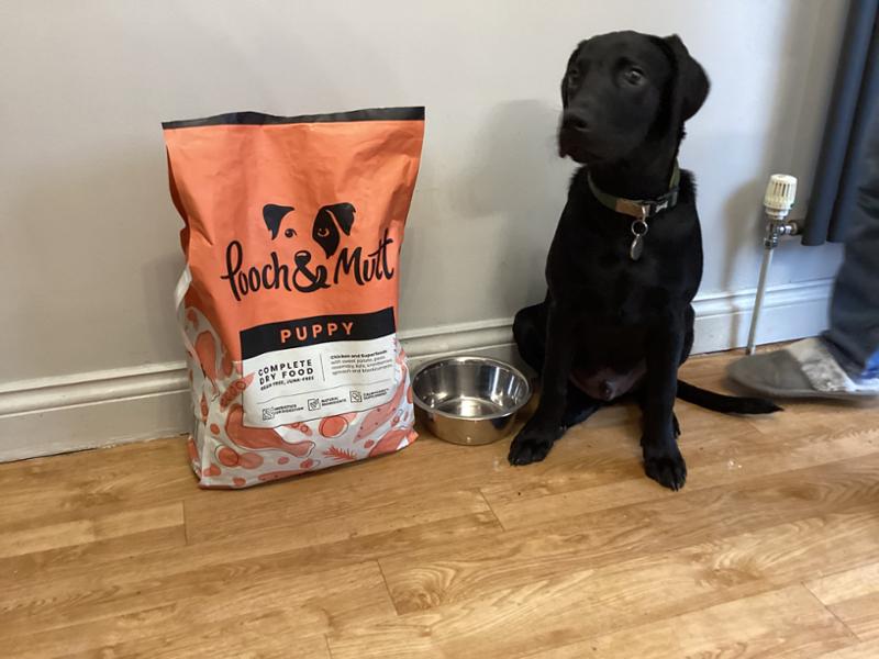 Puppy Complete Dry Superfood Clearance
