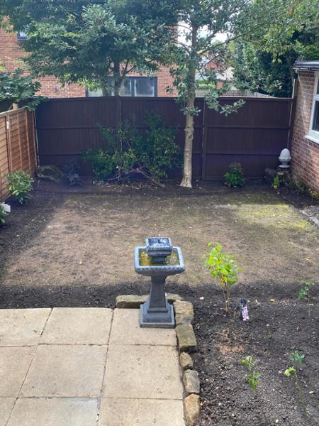 Great for shaded gardens