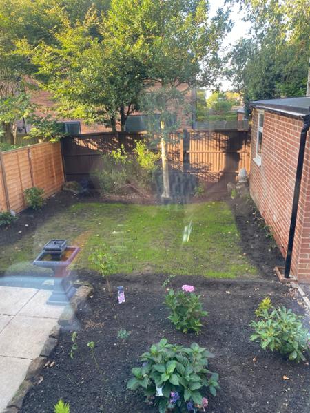 Great for shaded gardens