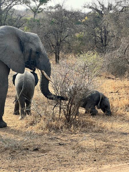 South Africa